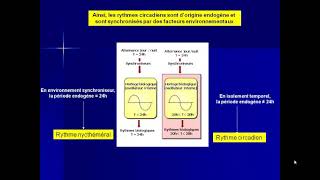 vidéo 4 rythme et cycle biologique module éthologie partie 2 [upl. by Xylina]