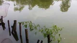 How To Touch Fishing  DIY Fishing  Câu lục xa bờ [upl. by Ronal]