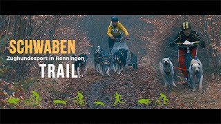 Schwabentrail 2018  International Sled Dog Rig Race RenningenMalmsheim [upl. by Adeuga36]