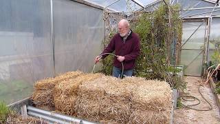 Creating an Organic Straw Bale Garden  The conditioning process [upl. by Lilak]