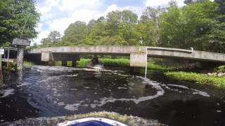 Jet ski accident  Jet skiing a woodsy jungle creek and  surprise [upl. by Kamerman]