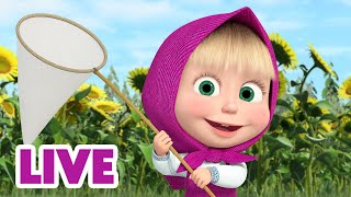 🔴 LIVE STREAM 🎬 Masha and the Bear 🙌🤩 Weekend with Masha 🗓️👧 [upl. by Ykciv291]