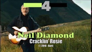 Neil Diamond  Cracklin Rosie Karaoke [upl. by Garap]