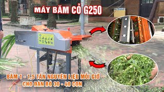 Máy băm cỏ G250  Băm 115 tấn cỏ voi mỗi giờ cho trang trại 30  40 con bò dễ dàng và nhanh chóng [upl. by Artimas870]