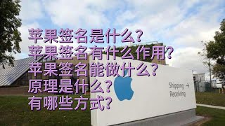 苹果签名是什么？ 苹果签名有什么作用？苹果签名能做什么？原理是什么？有哪些方式？百科智库百科 [upl. by Aroz]