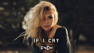 DNDM  If i cry Original Mix [upl. by Canon]