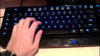 Razer Blackwidow Ultimate Gaming Keyboard Review [upl. by Gnaht]