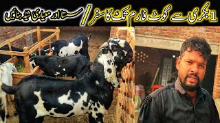 Intelligent Goat farming setup  Goat farming in Pakistan  bakri wala [upl. by Penelopa]