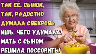 Так её сынок так радостно думала свекровь ишь чего удумала Мать с сыном решила поссорить [upl. by Gardener]