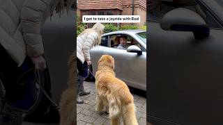 It started so well😳goldenretriever 🧼Freshness without fuss ​⁠earthrated earthratedpartner [upl. by Charis]