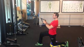 Half Kneeling Close Grip 45 Degree Cable Pulldown [upl. by Ytsenoh207]