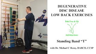 Degenerative Disc Disease Low Back Exercise Standing Band T [upl. by Lashondra927]