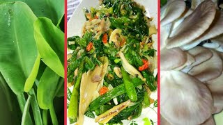 Resepi Sayur Paku RawanGenjer  Cendawan Tiram tumis ikan bilis by Mandagoi [upl. by Airdnoed362]