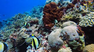 Tubbataha Reefs 32nd year anniversary [upl. by Htidra376]