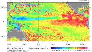 Average Daily Sea Level Height Anomalies During El Niño [upl. by Tronna]