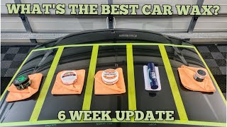 Whats The Best Car Wax I 6 Week Update  Turtle Wax v Collinite v Bowdens v Gyeon v Artdeshine [upl. by Rodi]