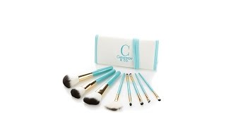 Carmindy Co 8piece Brush Kit [upl. by Ocirderf]