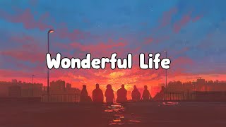 Smith amp Burrows Wonderful Life Lyrics Video [upl. by Teri]