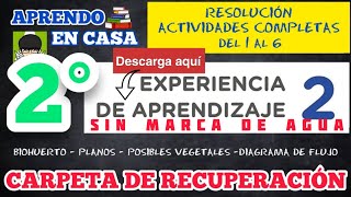 📐RESOLUCIÓN CARPETA DE RECUPERACION  EXPERIENCIA 2  2DO SECUNDARIA  COMPLETA ✏️ [upl. by Jean]