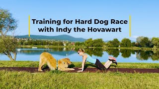 Training for Hard Dog Race with Indy the Hovawart [upl. by Charron]