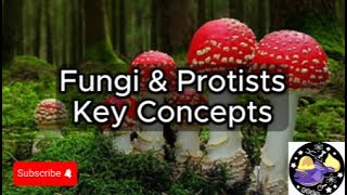 Fungi amp Protists  Key Concepts Overview Questions Study Tool  Audio [upl. by Neenahs]