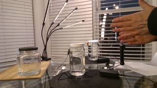 Brewing Colloidal Silver with the Noble Silver Galvanizer [upl. by Rinum]