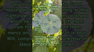 A Prayer for Healing  Day Two shortsvideo prayingforyou healing scriptureoftheday [upl. by Enirual]