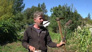 How to Plant amp Grow Cover Crops [upl. by Anwad397]