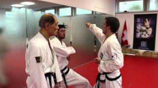 TaekwonDo lessons by Kwon Jae Hwa at Center Salvatore Terranova Zurich 권재화 태권도 [upl. by Zebulon]