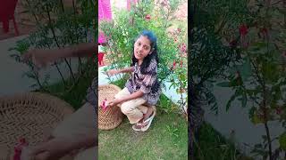 Bhad m jaye bhad m jayeyoutube dance funny clipsfunny videotranding [upl. by Tesil854]