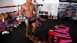 Saenchai vs Buakaw funny sparring [upl. by Krik]