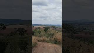 Diferença entre as terras🤠 inscreva vidanaroça nature cerrado natureza paisagem cultura roça [upl. by Darla]