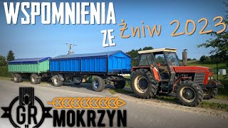 Wspomnienie z Wakacji w GR MOKRZYN 🌾 Żniwa 2023  ZTS w Transporcie MEGA TRANSPORTY ✔ Bronczek [upl. by Javler]