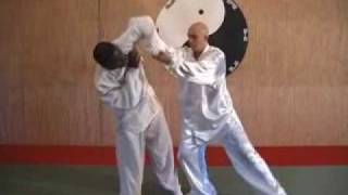 Taiji quan yang style 108 application [upl. by Nnaoj826]