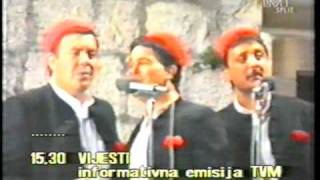 Zaspalo je siroče  klapa Trogir  FDK 1991 [upl. by Llertac]