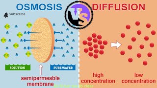 The Key Differences Osmosis and Diffusion Explained [upl. by Issac]