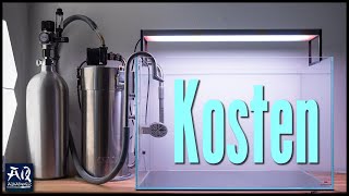 Was kostet Aquascaping  AquaOwner [upl. by Eicnarf83]