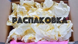 РАСПАКОВКА ☆ Посылка из магазина ТОРТОМАСТЕР [upl. by Araz]