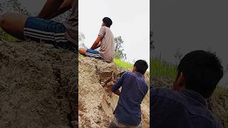 See what happens when cutting the soil from the back shortvideos funny remix trending foryou [upl. by Ethelda17]