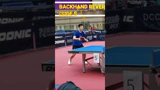 Fan Zhendongs backhand technique and sidespin [upl. by Eireva]