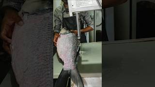 Live Katla Fish Cutting Skliiskatla Fish Cutting in Bangladesh Fish Market shorts viralvideo bd [upl. by Letsyrhc630]