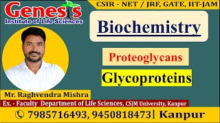 Proteoglycans  Glycoproteins  Lecture7  New online quotBatchquot for CSIR NETJRF  IITJAM [upl. by Saoj]