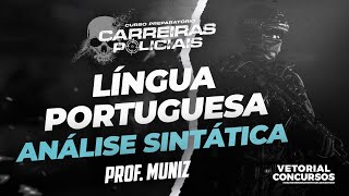 PORTUGUÊS  Análise Sintática  ProfMuniz [upl. by Hannala]