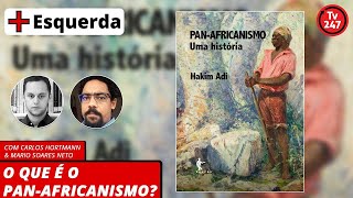 Introdução ao Panafricanismo de Hakim Adi  com Mário Soares [upl. by Enrique166]