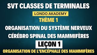 COURS SVT TS2 LONDO AKADEMY  THÈME 1  LEÇON 1  ORGANISATION DE L’ENCÉPHALE DES MAMMIFÈRES [upl. by Chev]