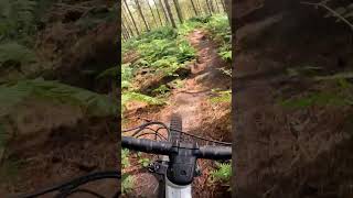 Metal Monday for yall Berm after berm in cannock chase Off Piste slowbrosmtb metallica [upl. by Adav]