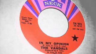 In My OpinionThe Vandals1969 [upl. by Srednas415]