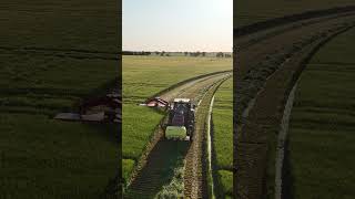 Amazing what you find on your drone lol masseyferguson caseih hay24 [upl. by Silda333]