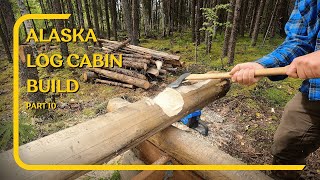 Stacking logs for my Off Grid Alaska Cabin in the woods Scribe Cut Stack Repeat [upl. by Krista]