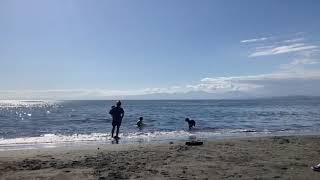 Enoshima beach oct 152024 [upl. by Epps877]